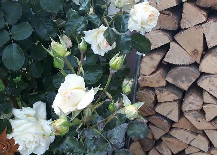 Apartmenthaus Styria *