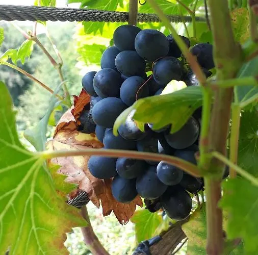 شقة Apartmenthaus Styria